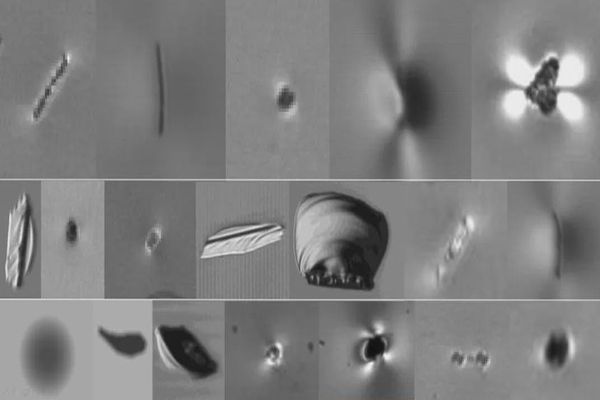 機(jī)器視覺中玻璃行業(yè)的檢測(cè)
