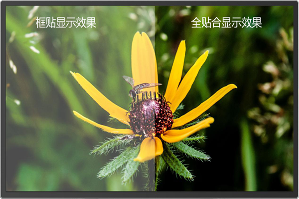 全貼合和框貼有啥區(qū)別？