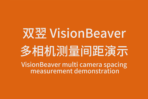 VisionBeaver多相機(jī)測量間距演示
